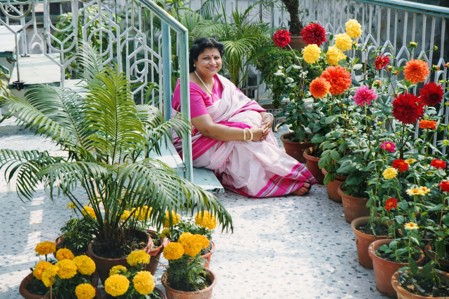 Sunanda_Roof_garden.png__PID:1b98df0f-c148-4e97-8b29-1eecb4b5e3ff